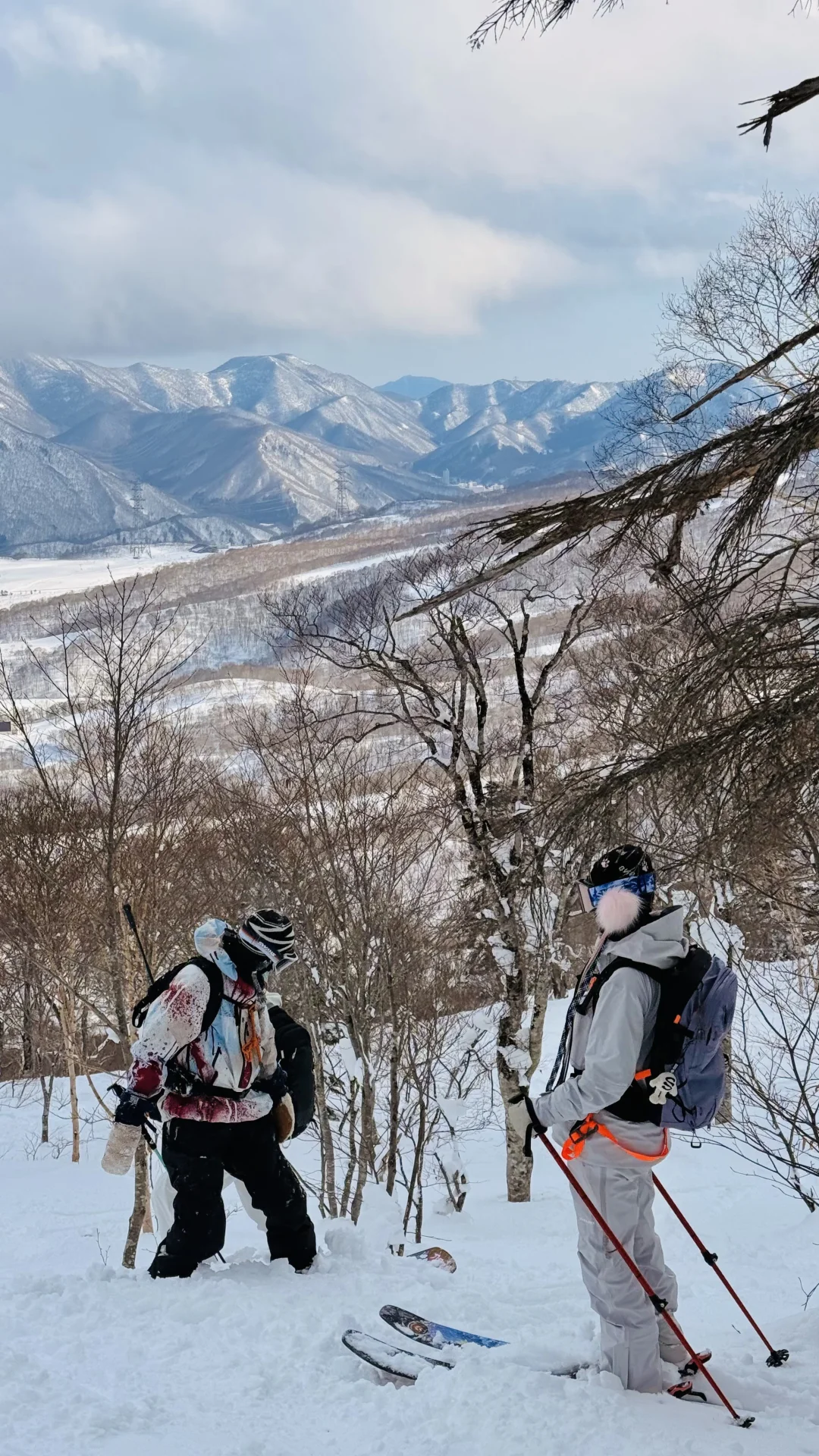 又是被单板拉爆的一天🤪