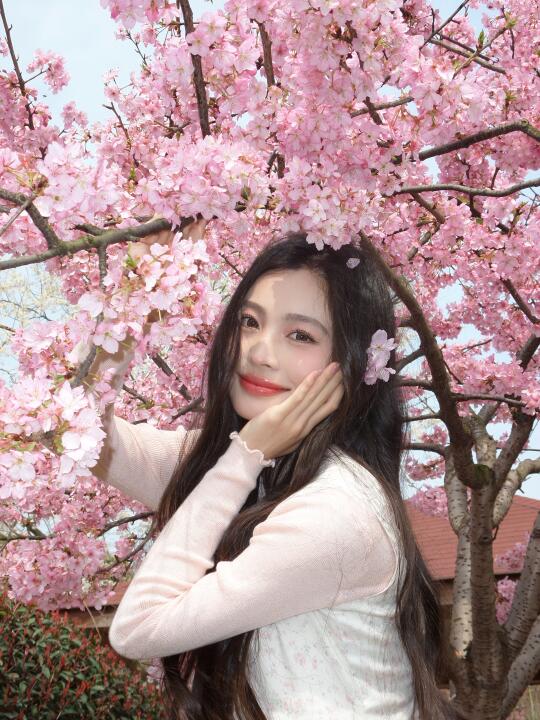 你们要的ccd🌸（图文版