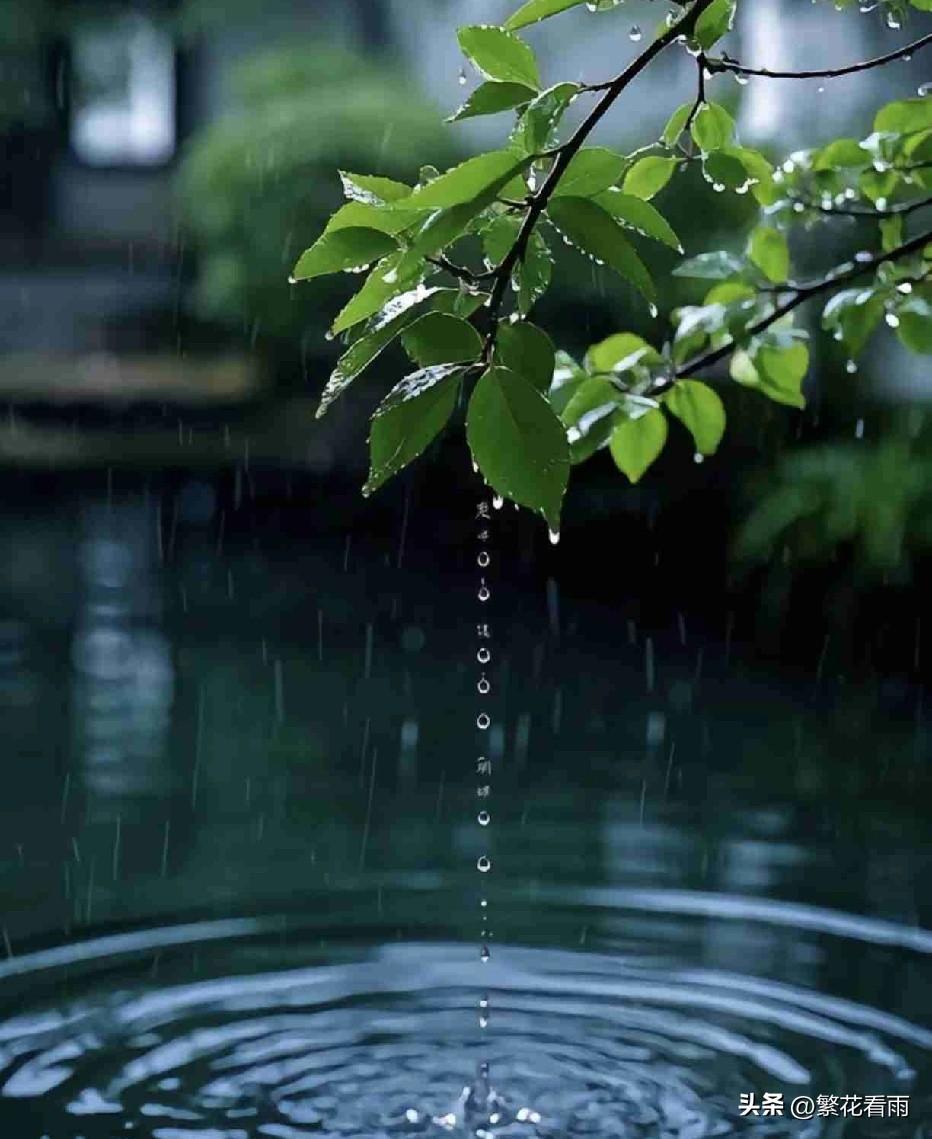 二月，早春时节，忽而晴，忽而阴，忽而烟雨蒙蒙，忽而云开日现。


带定位晒今日生