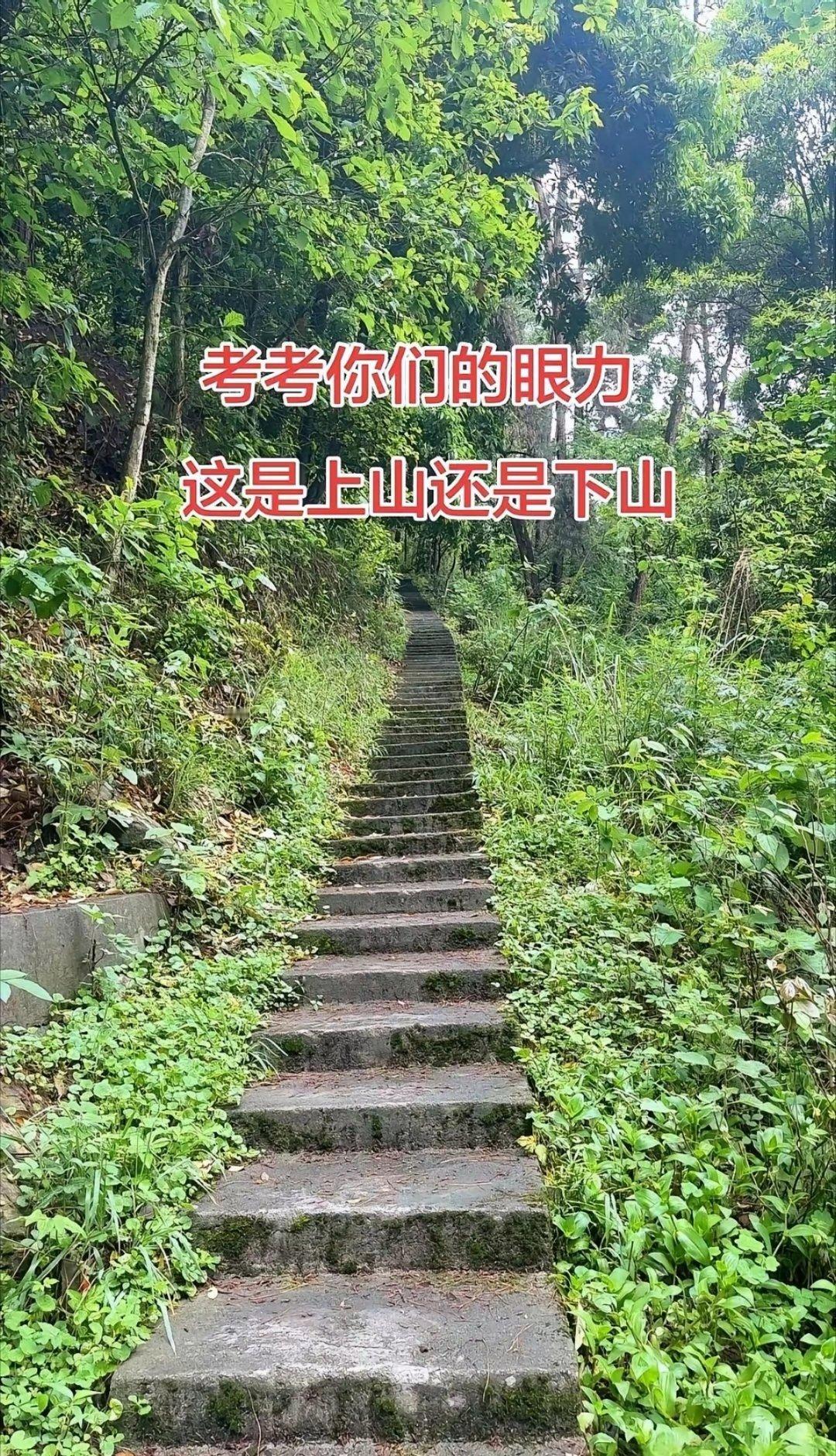 看出来了吗？ 
