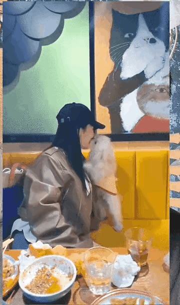 干饭第二，撸狗第一[捂脸][捂脸]