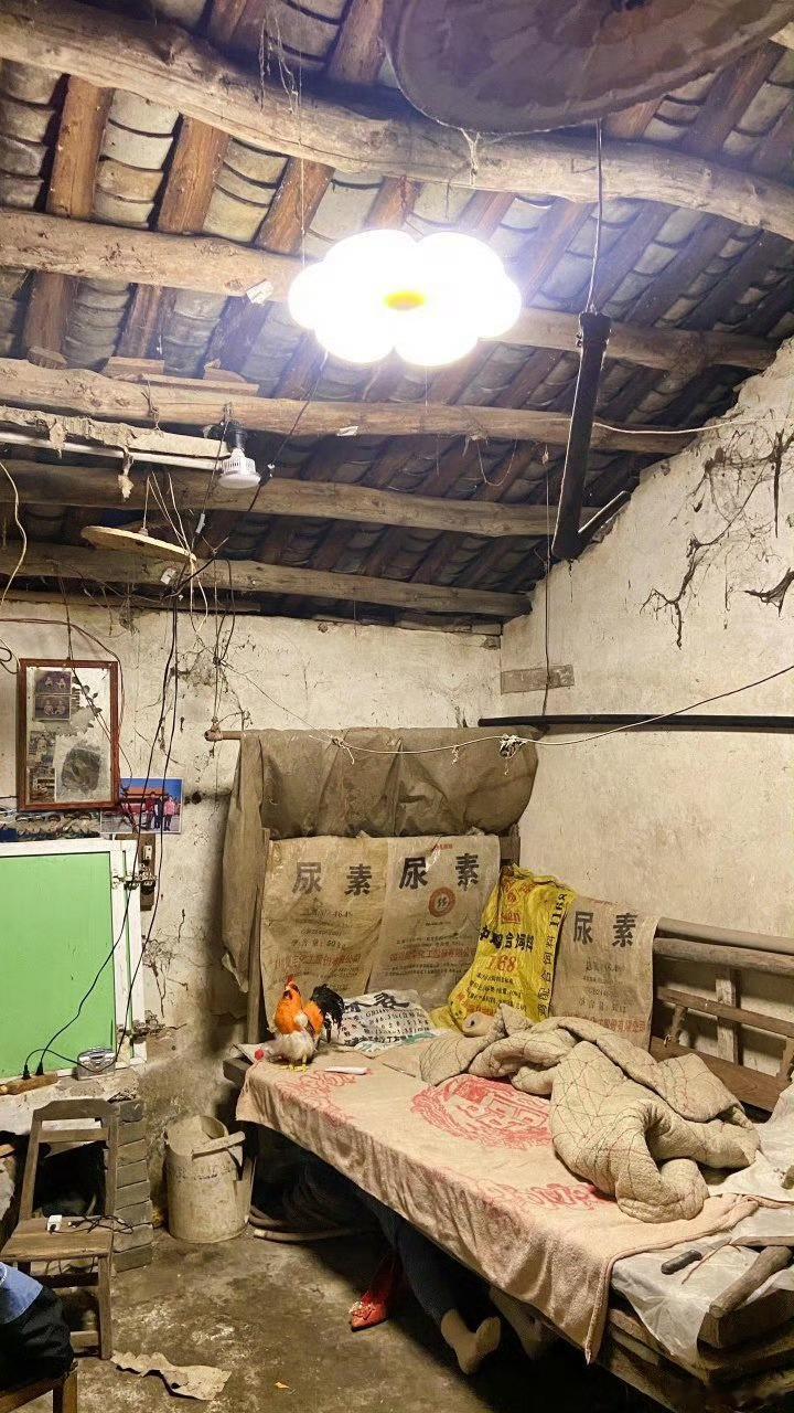 家里新买的吊灯，大家感觉亮吧[doge] ​​​