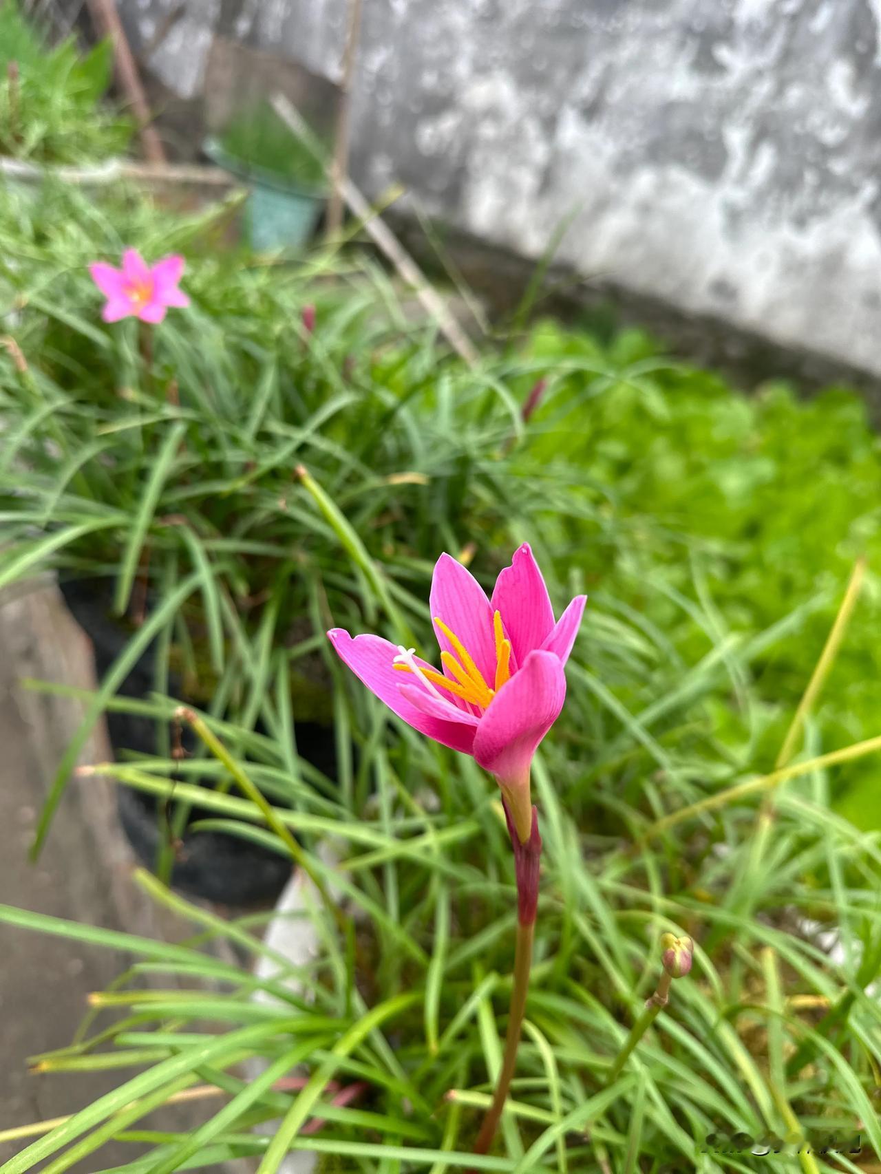 贵州的夏天真是清凉，到了傍晚还会觉得冷；兰州马拉松没跑成之后停了几天，这两天又开