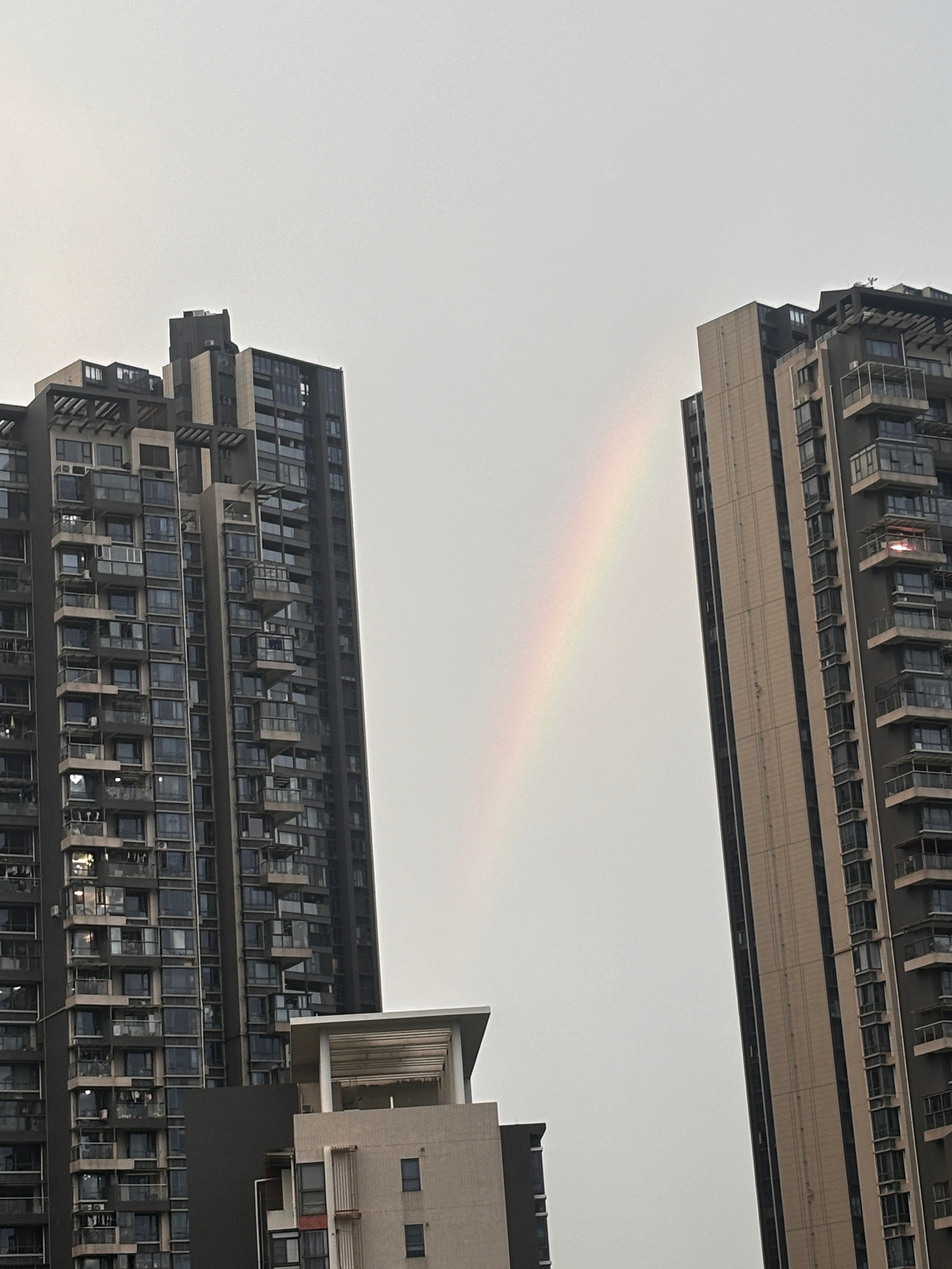 遇见彩虹🌈 