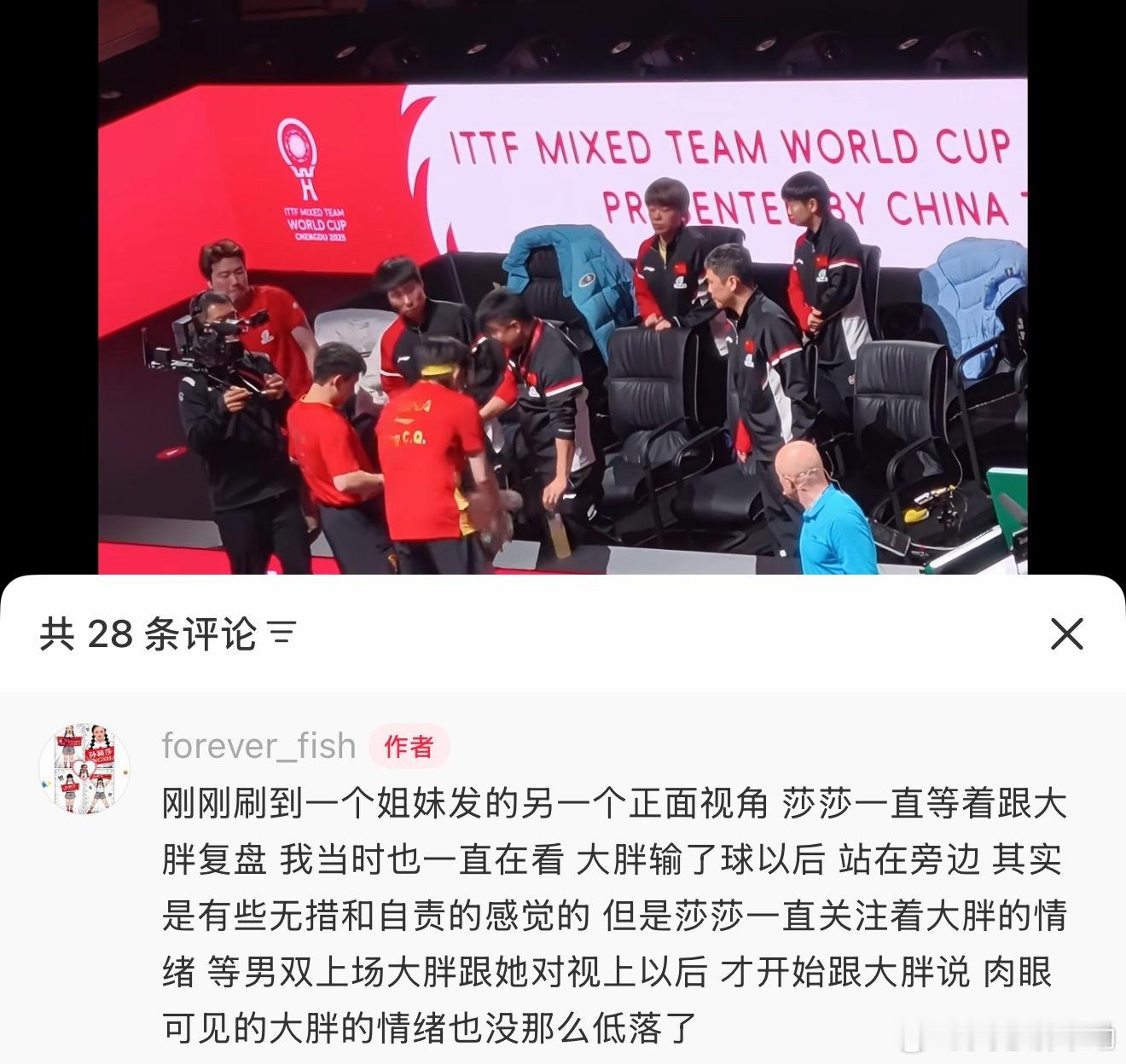 特别暖心的小莎