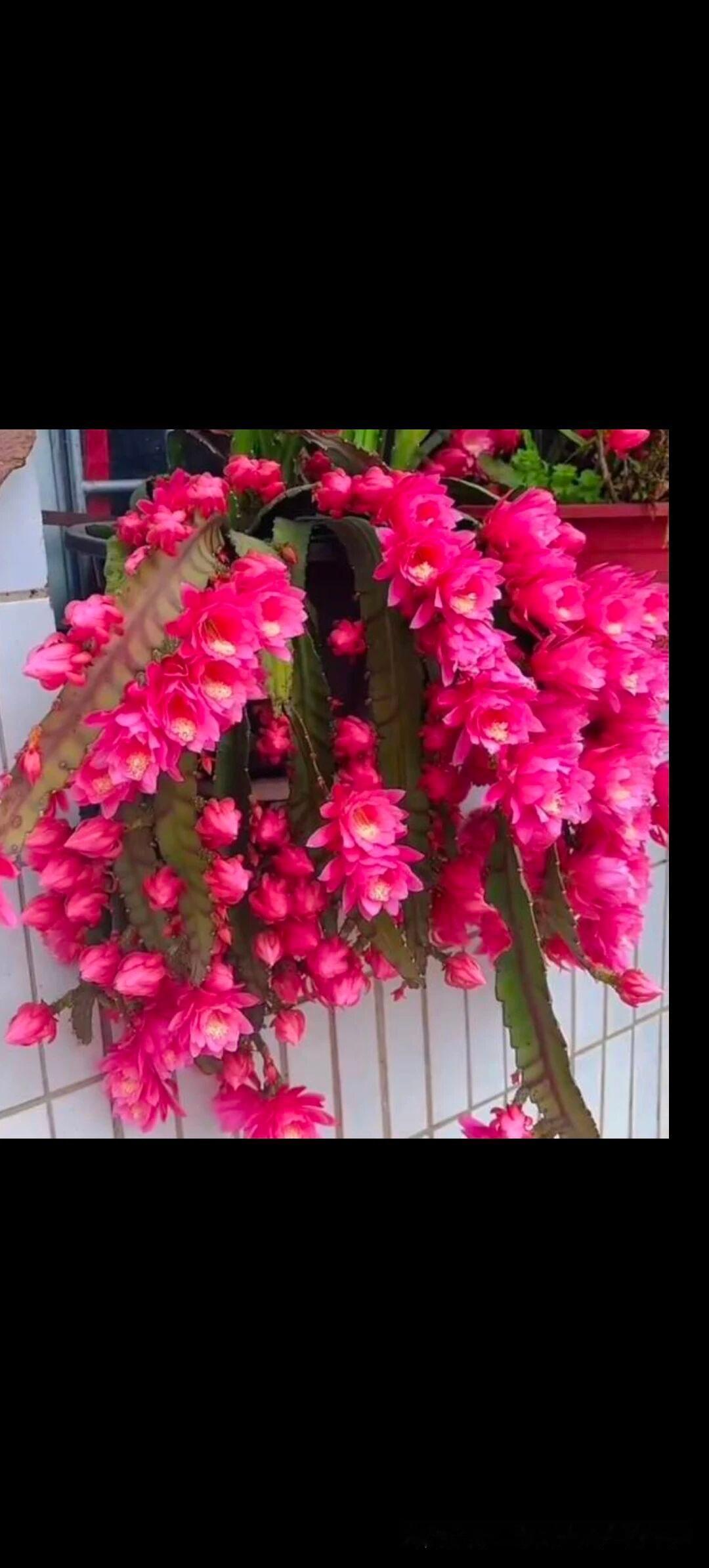 婆婆的银行卡放小姑子那合不合适，得分情况看。要是婆婆头脑清醒，自愿放小姑子那儿，