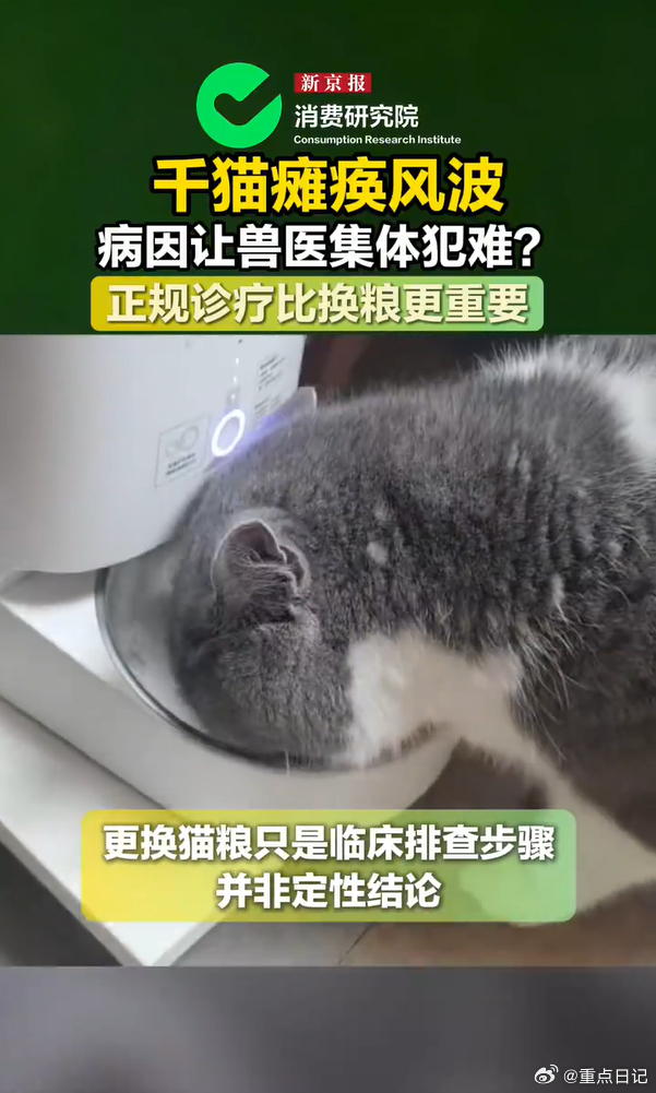 狗狗看病省心，猫咪看病揪心！狗狗后腿问题病因清晰、极易治愈，猫咪瘫痪病因复杂、难