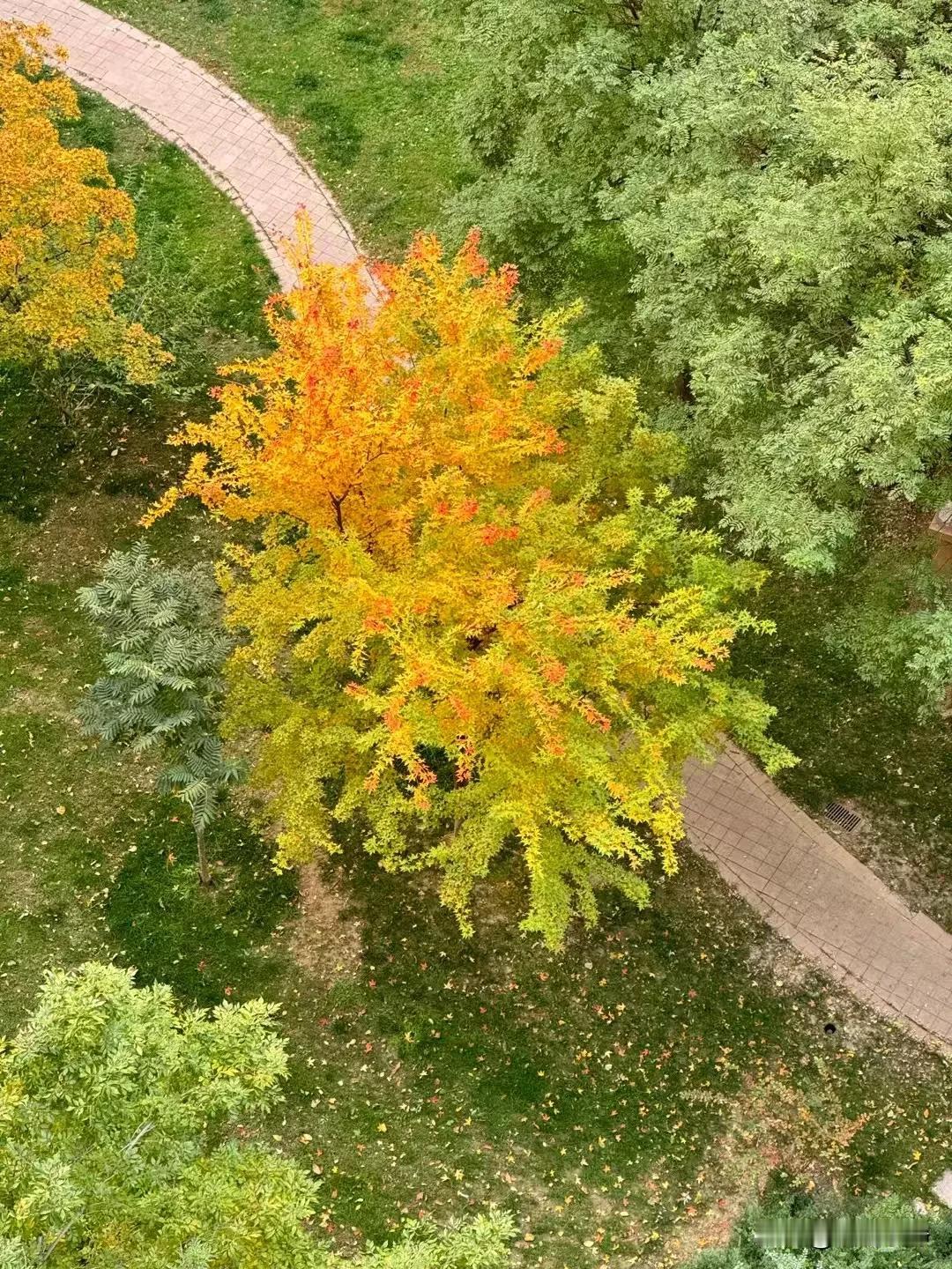 让学习成为习惯！
让良知照亮人生！
美好的一天从感恩、读书开始！早安！朋友！[庆