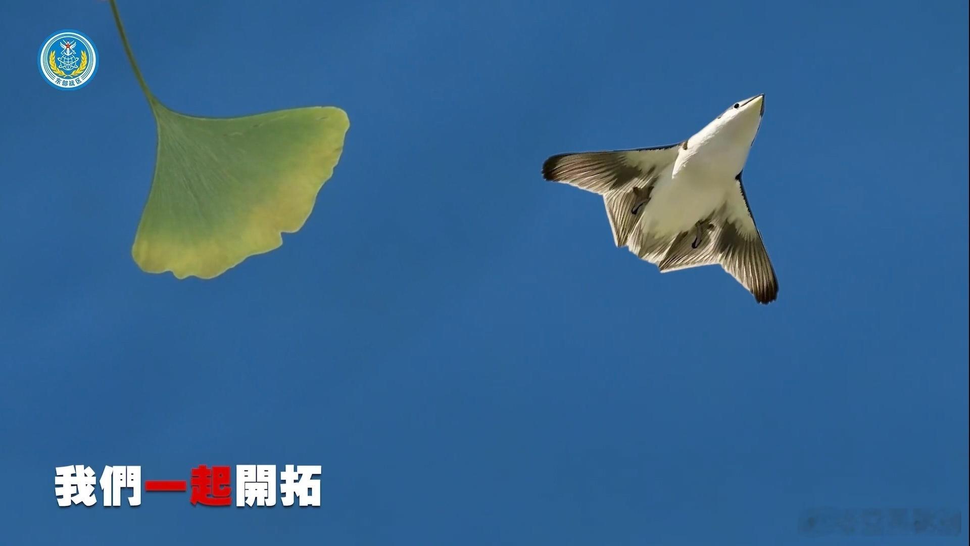 东部战区发布MV中国人 实锤“银杏叶”下边的歌词也刚好是“我们一起开拓”就很绝！