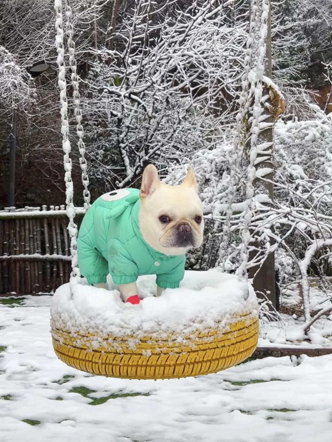 雪地秋千初体验