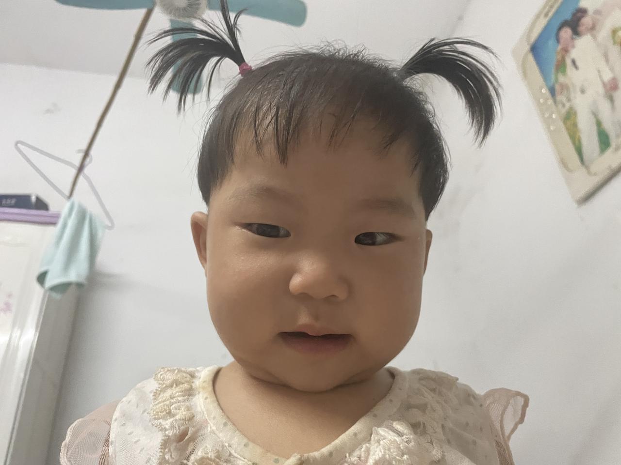 新鲜采摘 桃子熟了
