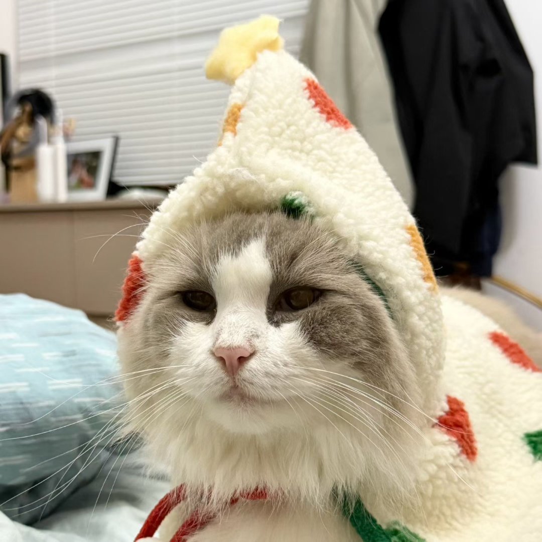 圣诞快乐，平安喜乐！2025年已接近尾声，2026年继续砥砺前行。为自己加油！ 