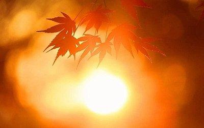 周末消息面极不友好，从4197到3794的盘面密码。

上周五的市场表现是缩量普