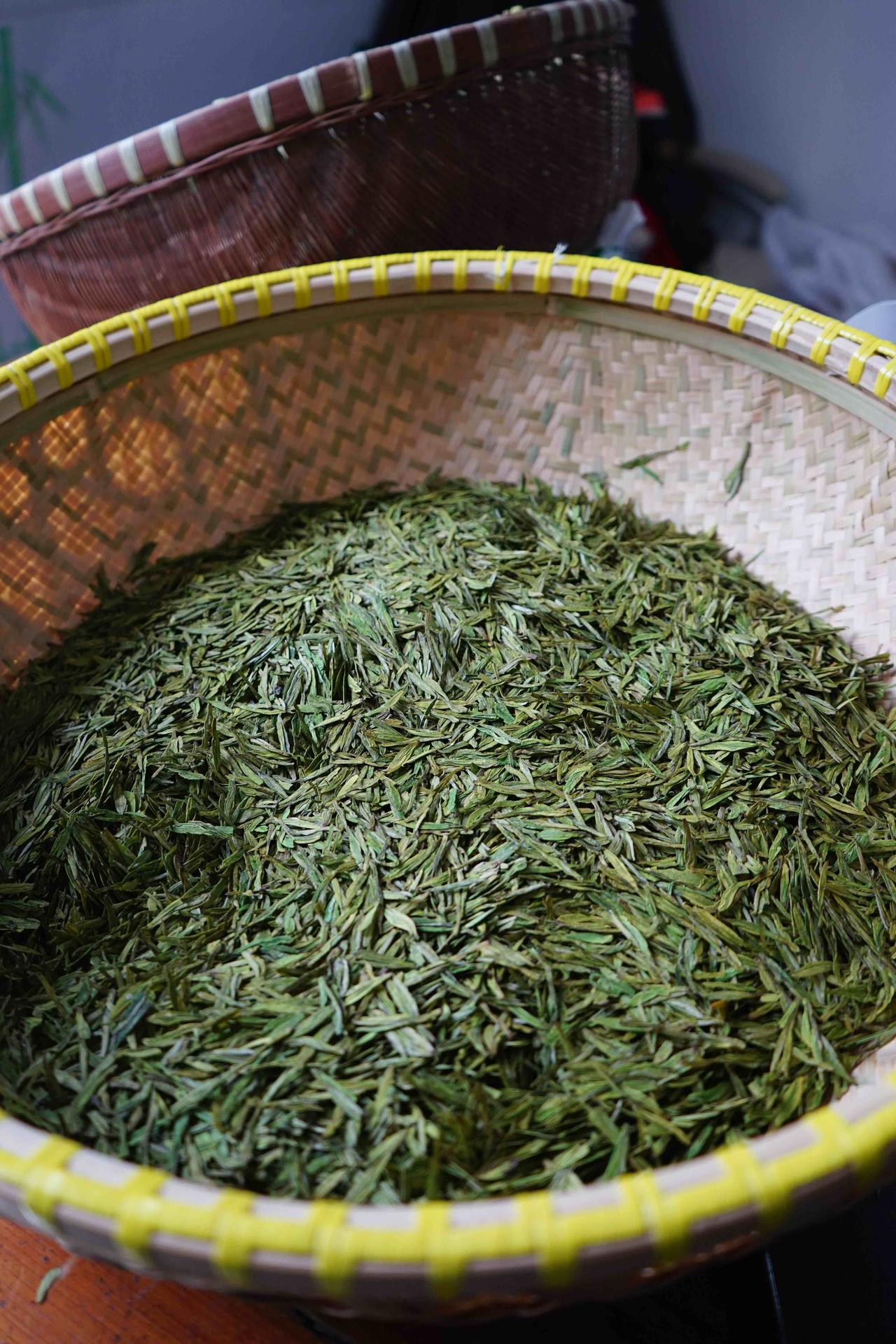 继续探索“小白龙”安吉白茶制作工艺[呲牙]
昨天炒的“小白龙”，滋味不错的，比正