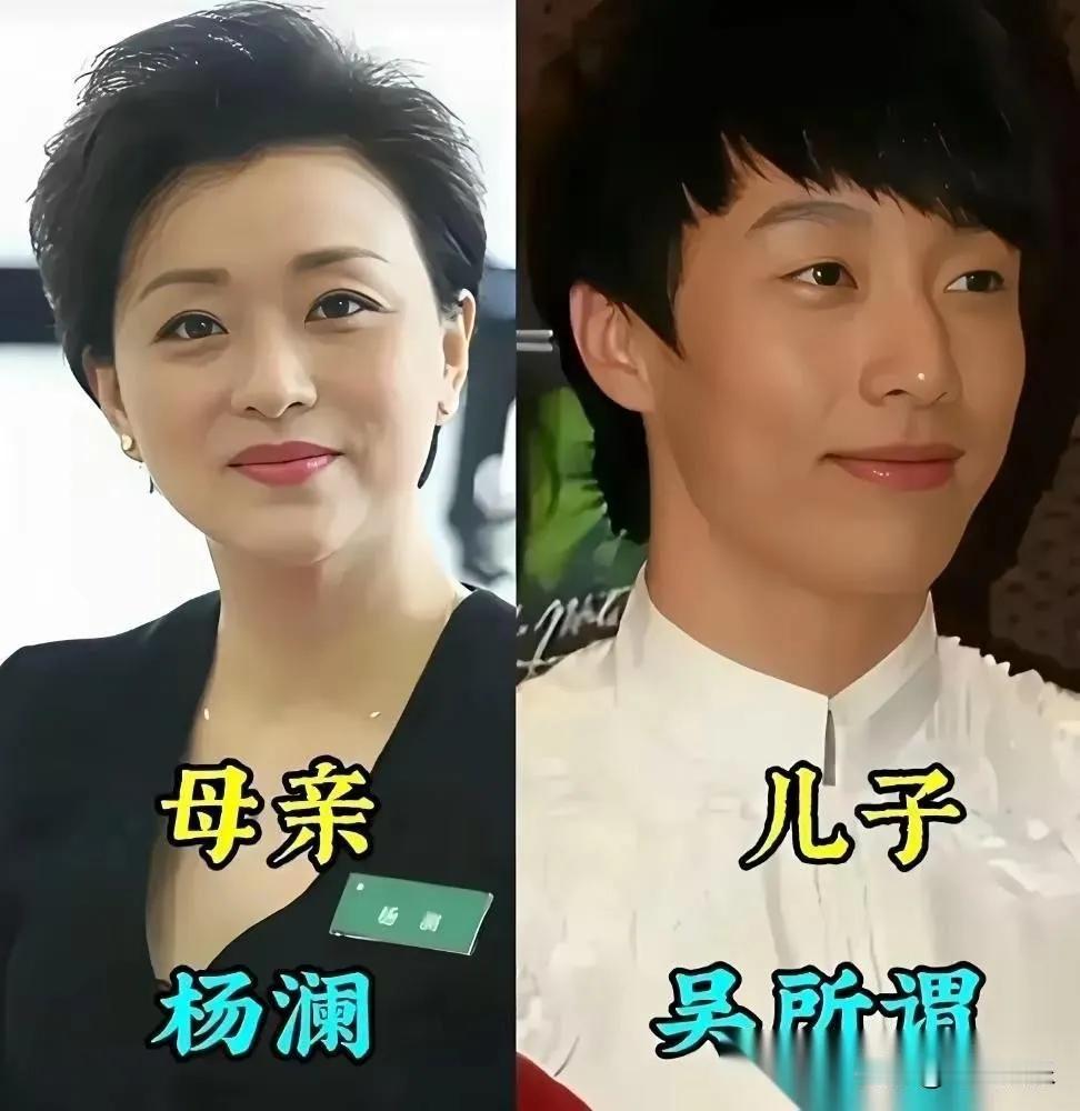 杨澜的儿子拥有俊俏的外貌，白皙肌肤，和谐的五官，继承了母亲的出色基因。
杨澜的儿