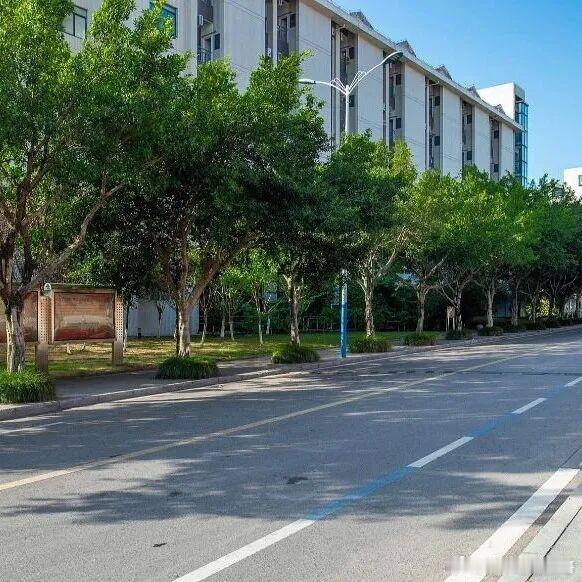 多所高校发文严控校园车速 多所高校强调校内机动车限速；有学校明确，一个学期内累计