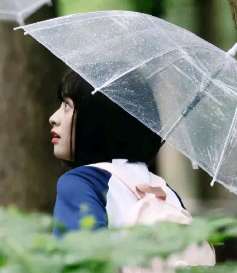 洋洋高锐“雨中……嫣然”◎梦……吗擦肩而过时心……突突的◎回首再望时她……长大了