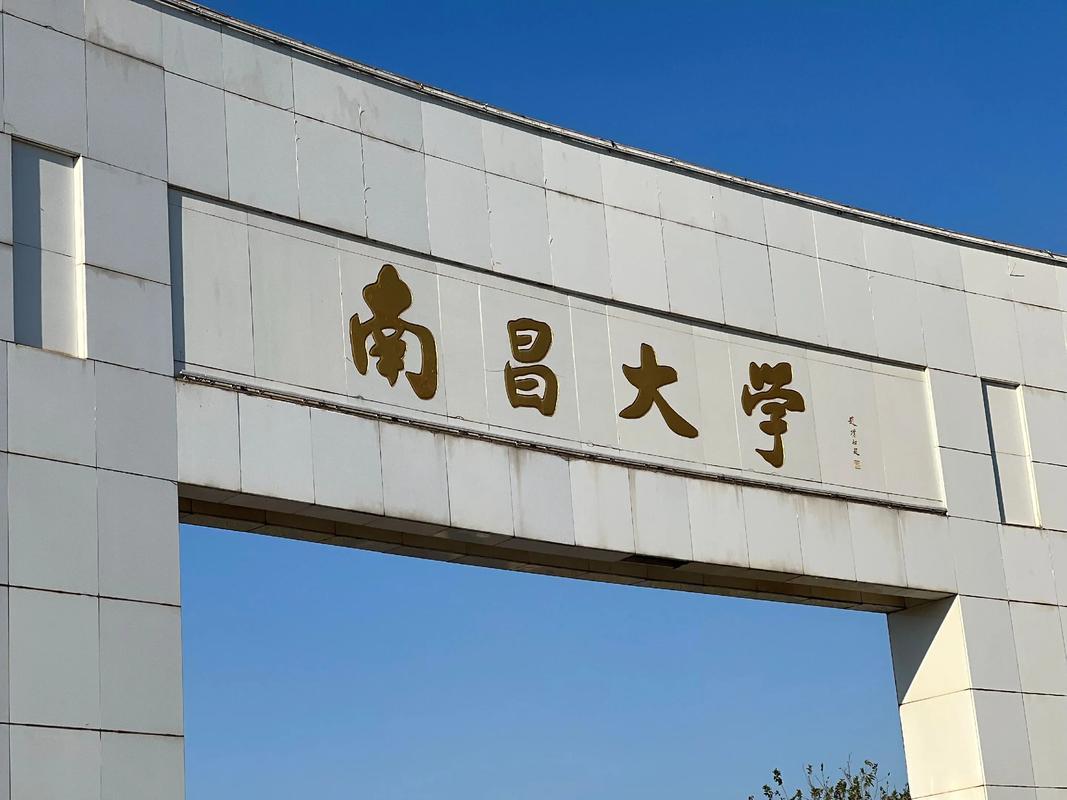 南昌没有985高校，全省唯一的211+双一流是南昌大学（Nanchang Uni