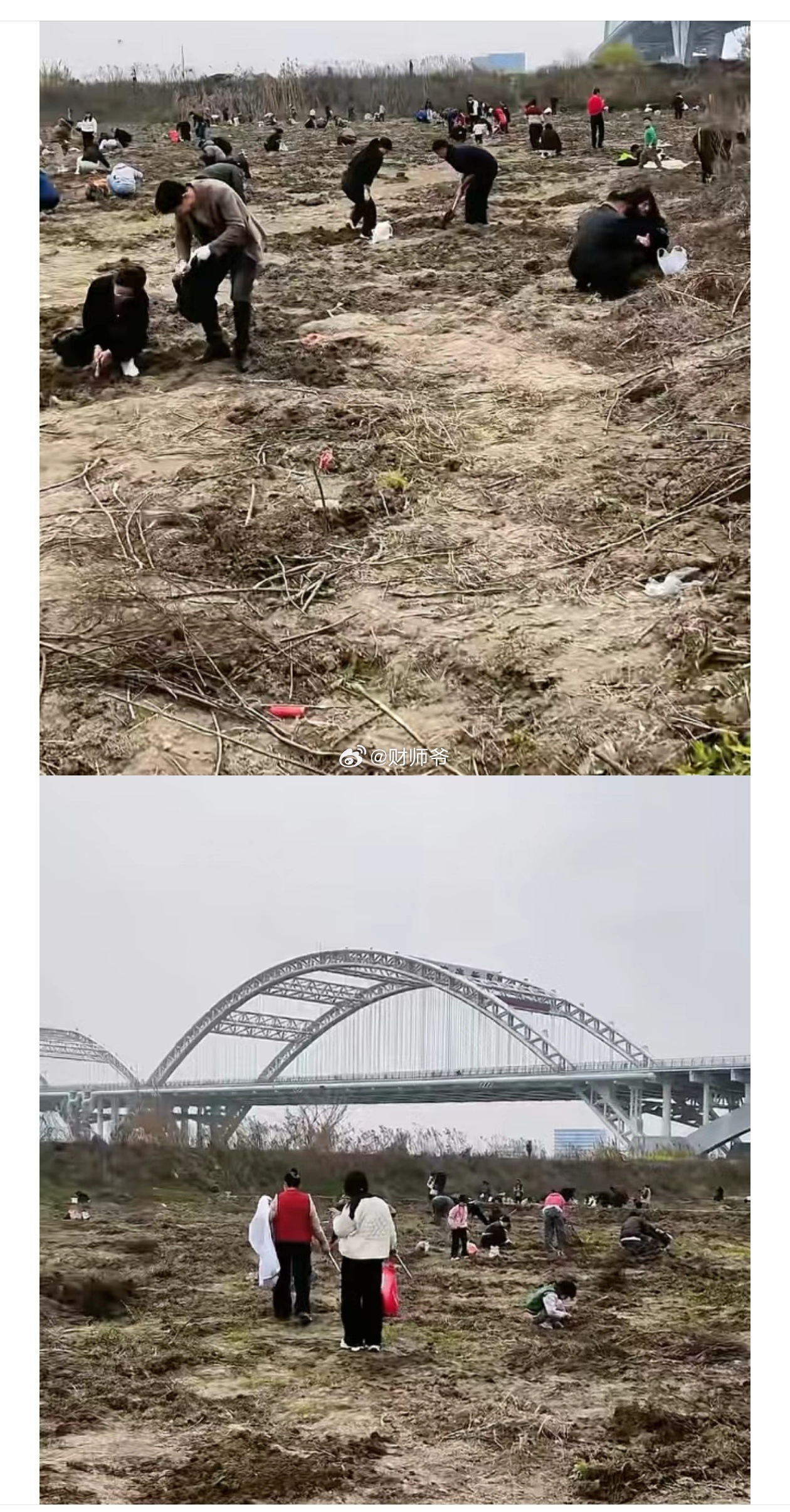 绍兴袍江大桥底下，密密麻麻都是人，还惊动了警察蜀菽……原来是云贵大军在此发现了一