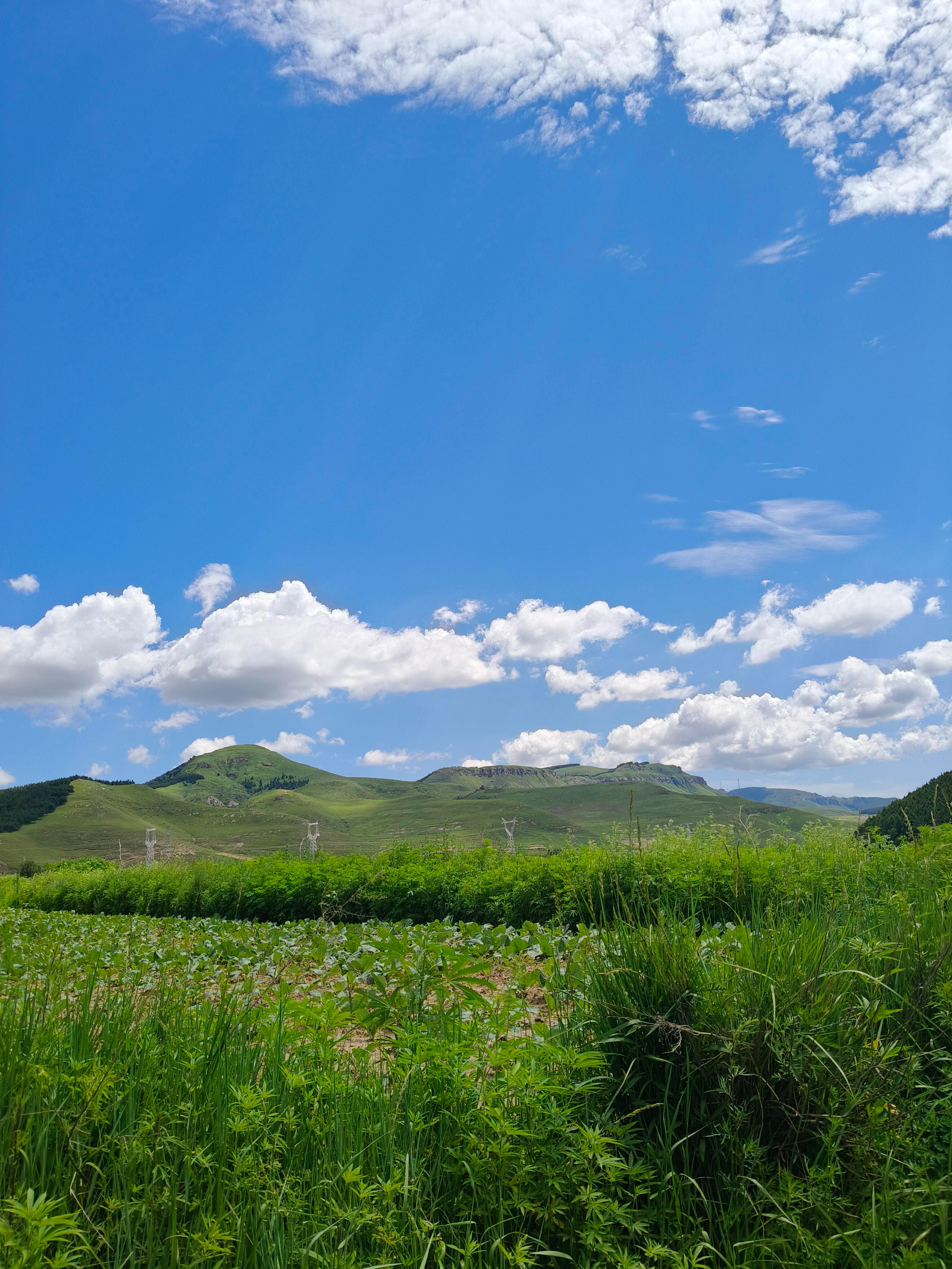 早安🌞                   平生最贪热闹，不恋人间 
