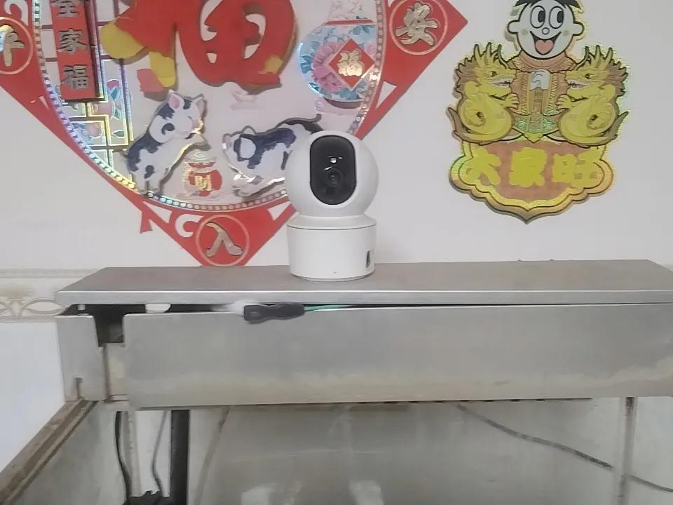 回到二楼，我把厅里监控的电源拔掉了。
以前老婆说儿子在厅里做作业，装个监控盯一盯