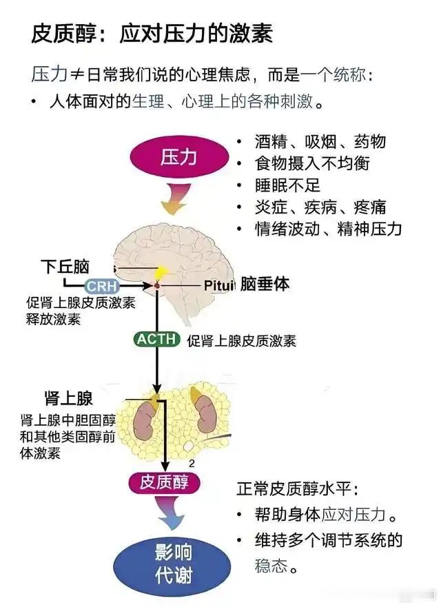 你的脸和头发不仅是个人颜值的体现，更是身体状态的 “晴雨表”。长期焦虑内耗、工作