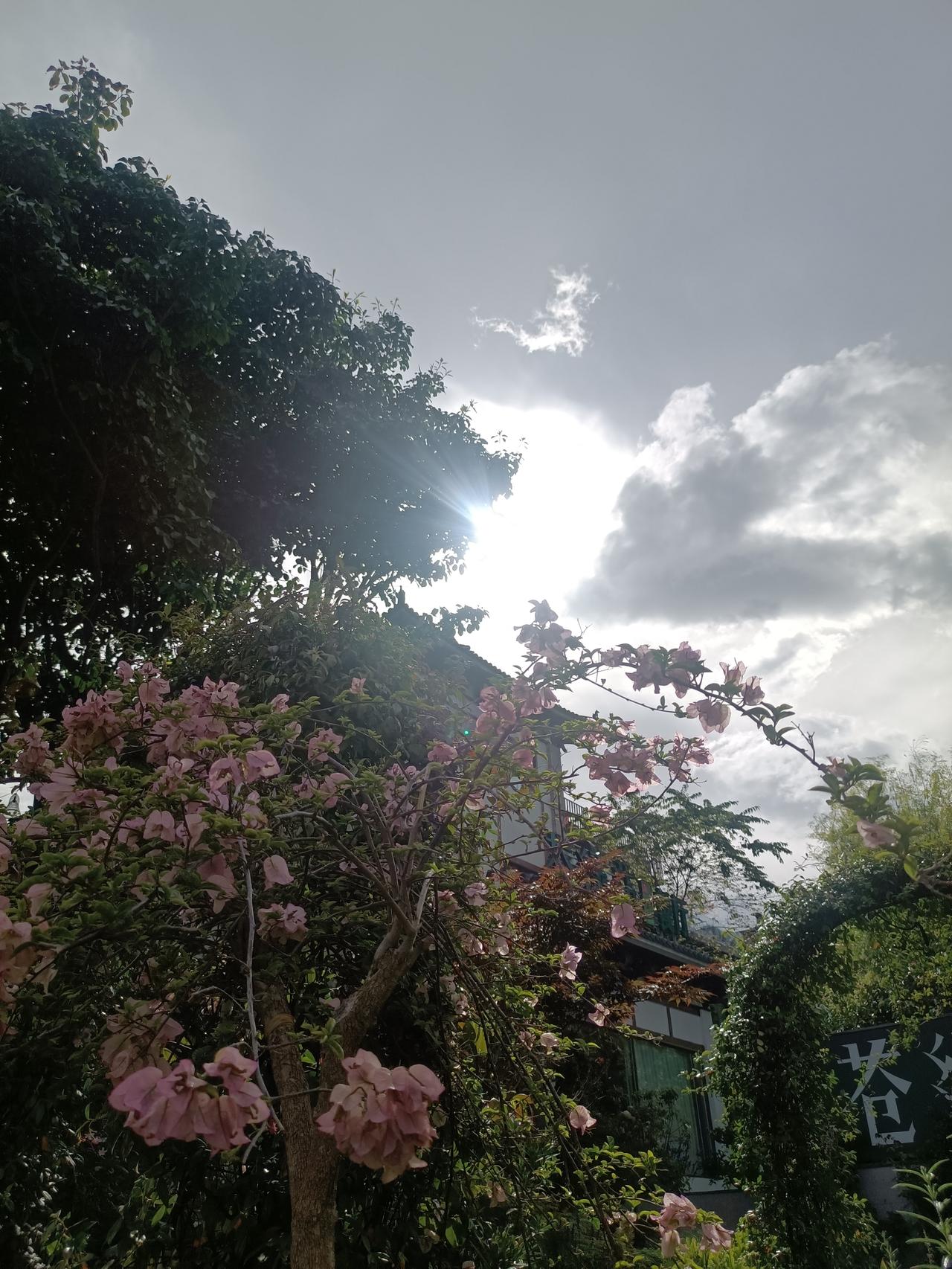 分享一张风景美图云南大理