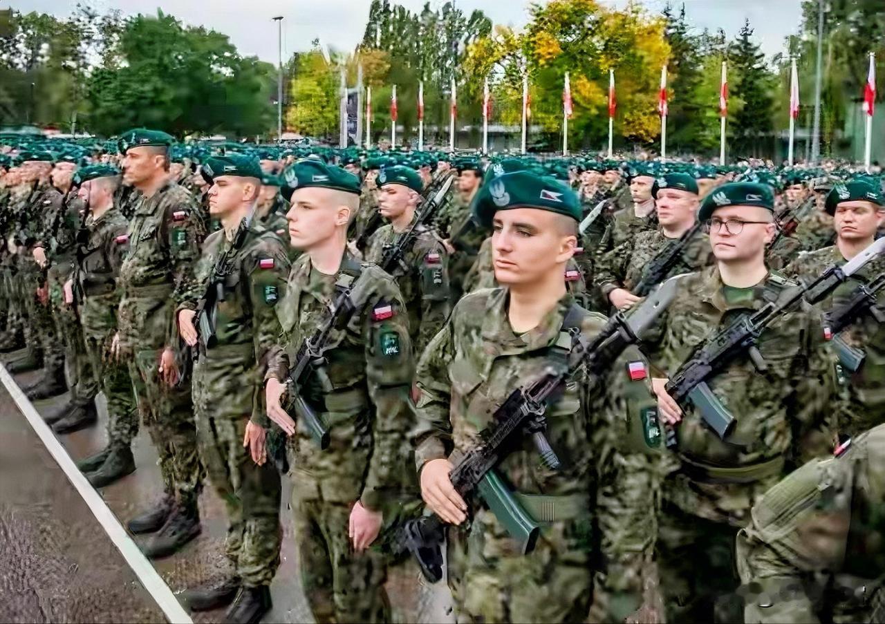 欧洲11国计划向乌克兰派遣多国部队，这一计划被视为在美国特朗普政府可能减少直接介