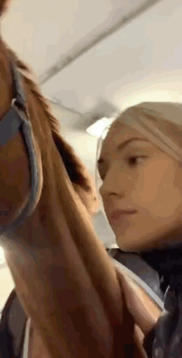 马儿：什么人啊！一天天的就不能消停一点！想干什么啊？