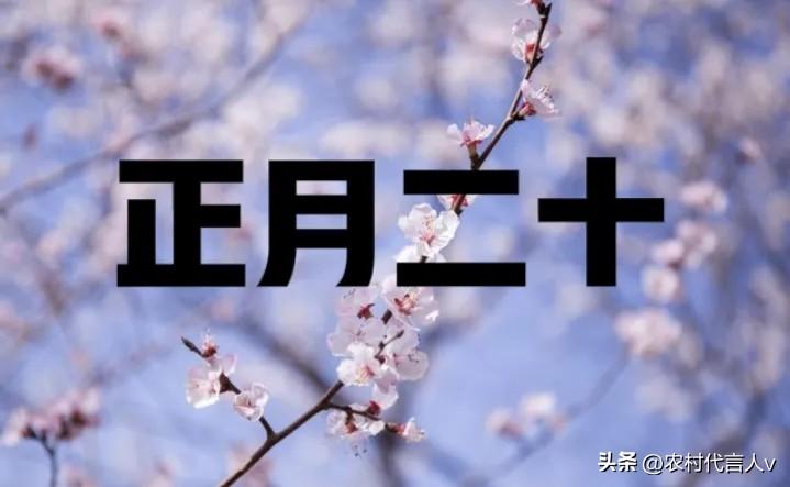 “正月二十晴，寡妇不发愁”，今日正月二十，晴天有啥说法？答案来了。
 
“正月二
