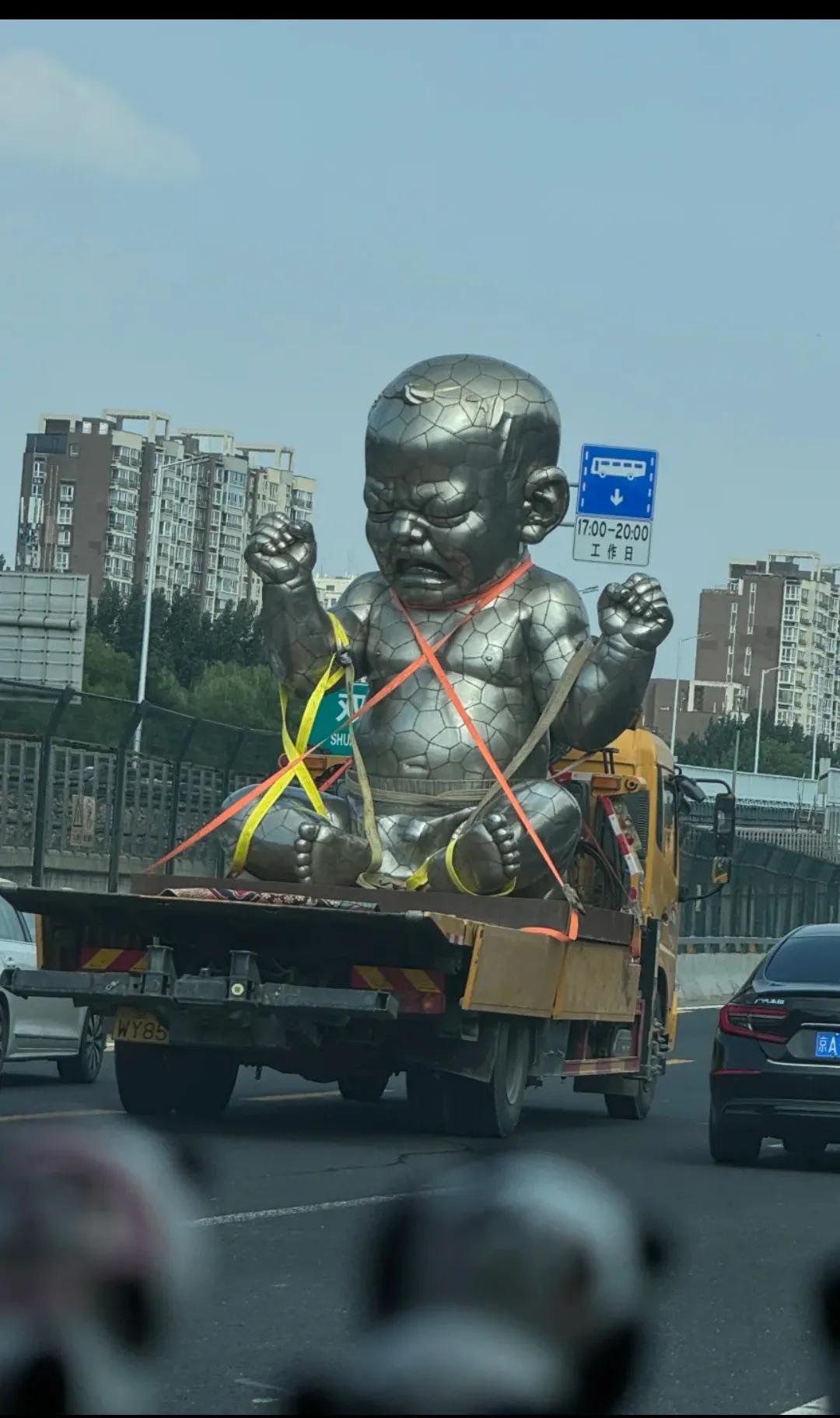 #寻找热爱表达的你#高架上看到有车搬运这个，这个是什么？有谁知道？
