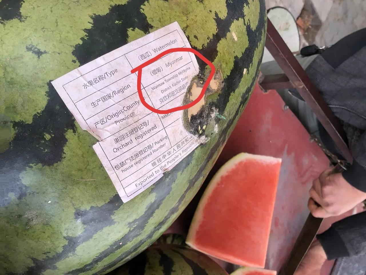 涨见识了，新疆的瓜又大又甜，举世闻名，为啥进口缅甸的瓜？缅甸瓜味道如何，哈哈哈。