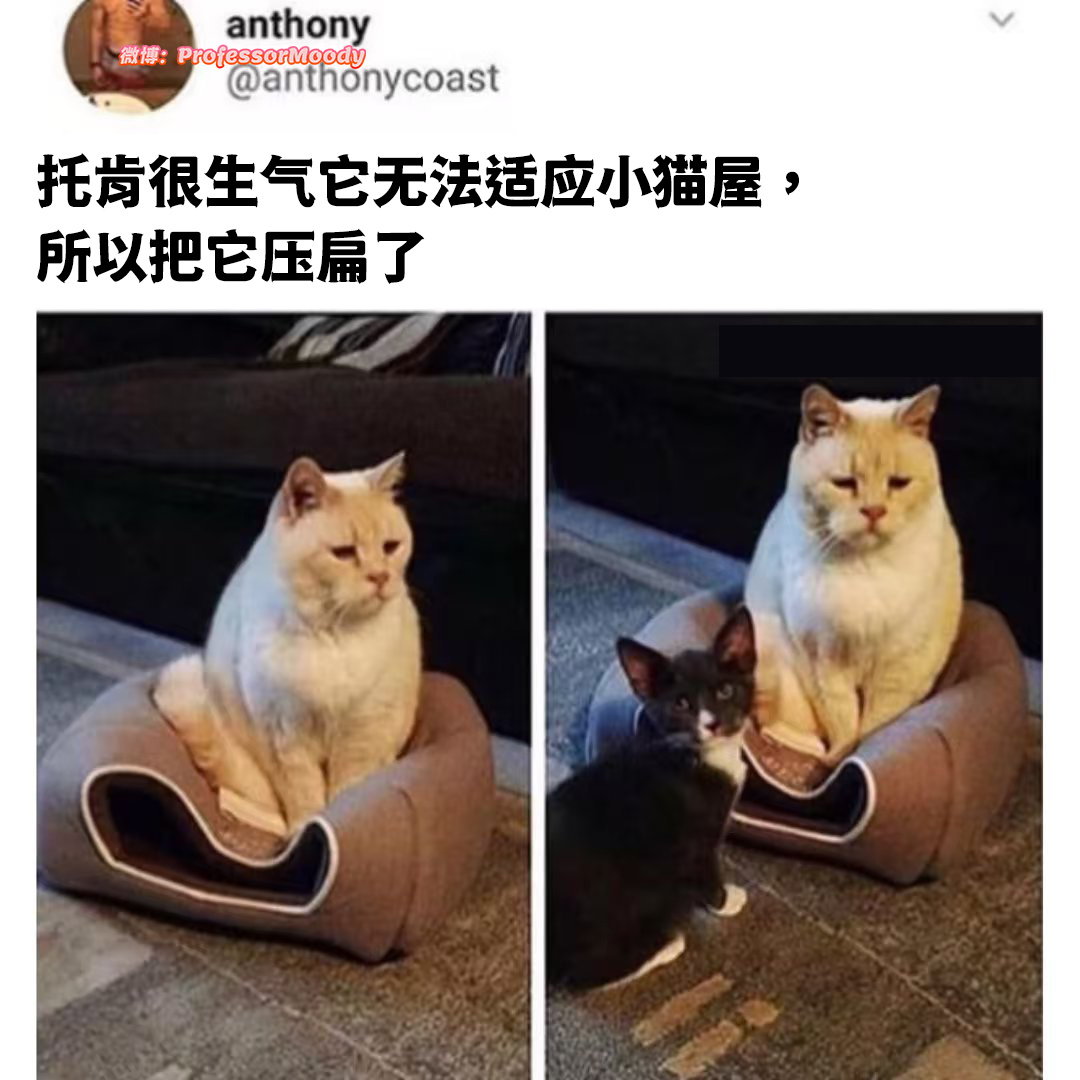 好凶哦 