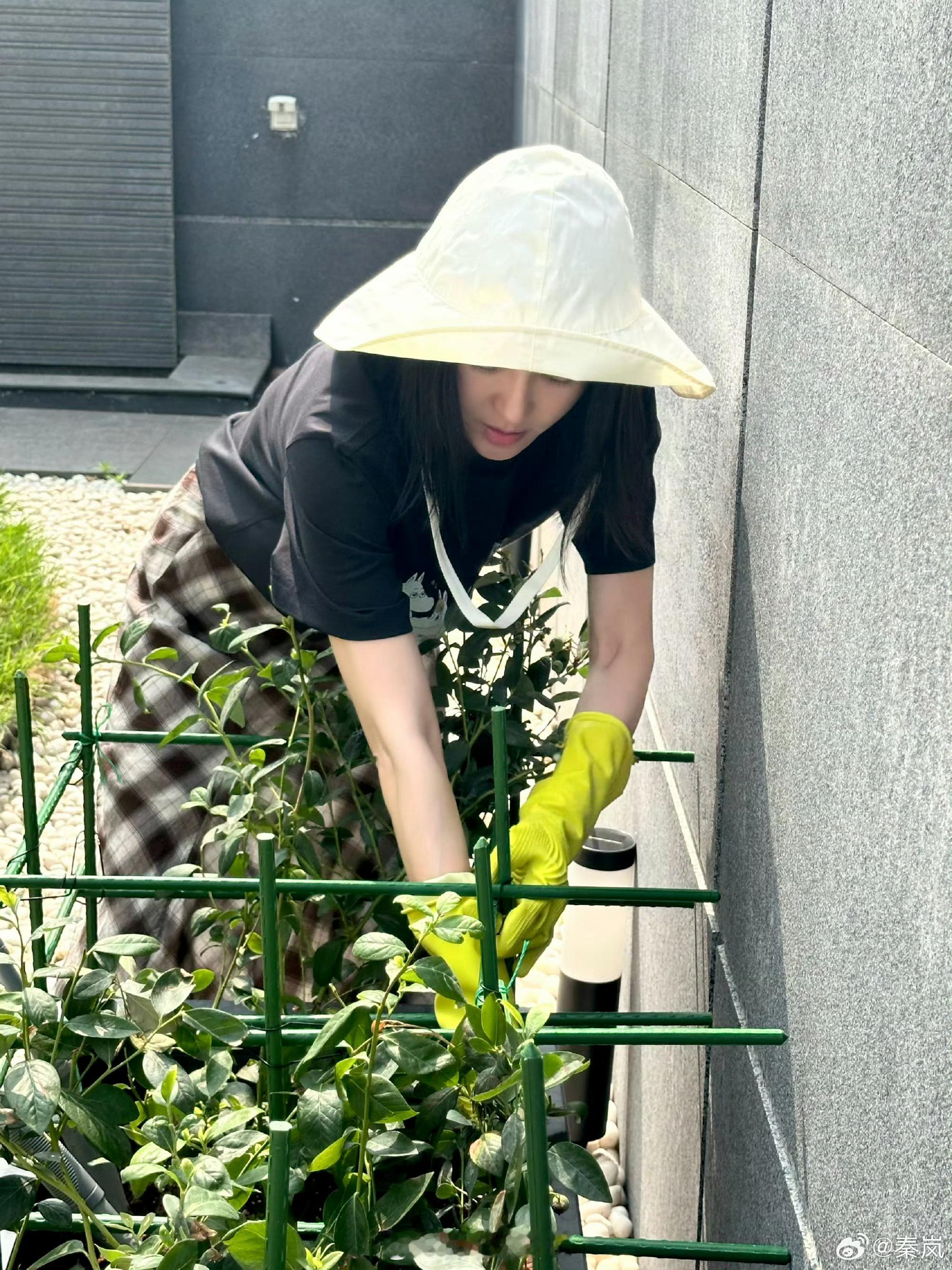 散了散了，不是魏大勋秦岚发了疑似有魏大勋声音的live图