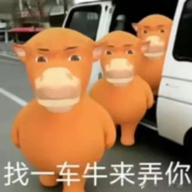 14009 请输入文字 