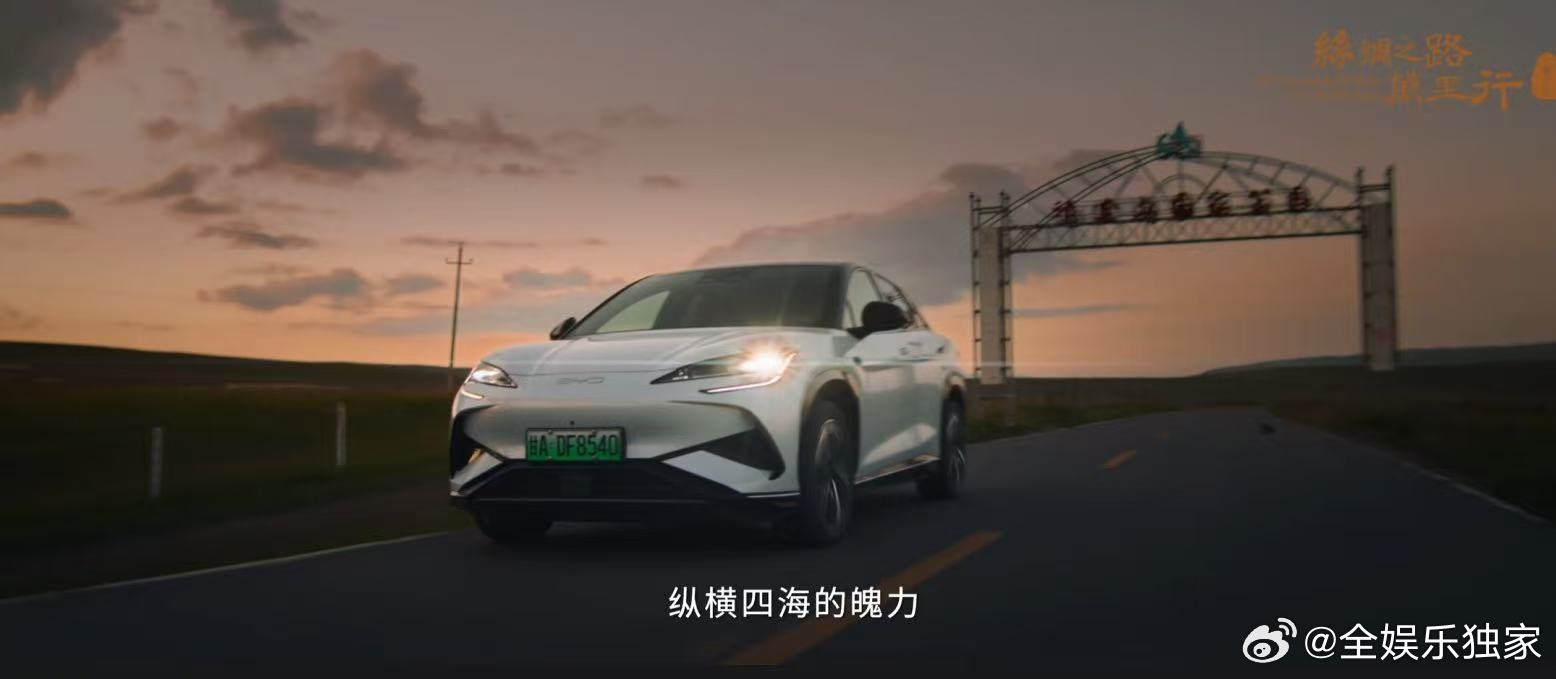 豹影在沙海中跃动，疾风中追寻古道传奇，与古人共赴这场探险盛宴。 