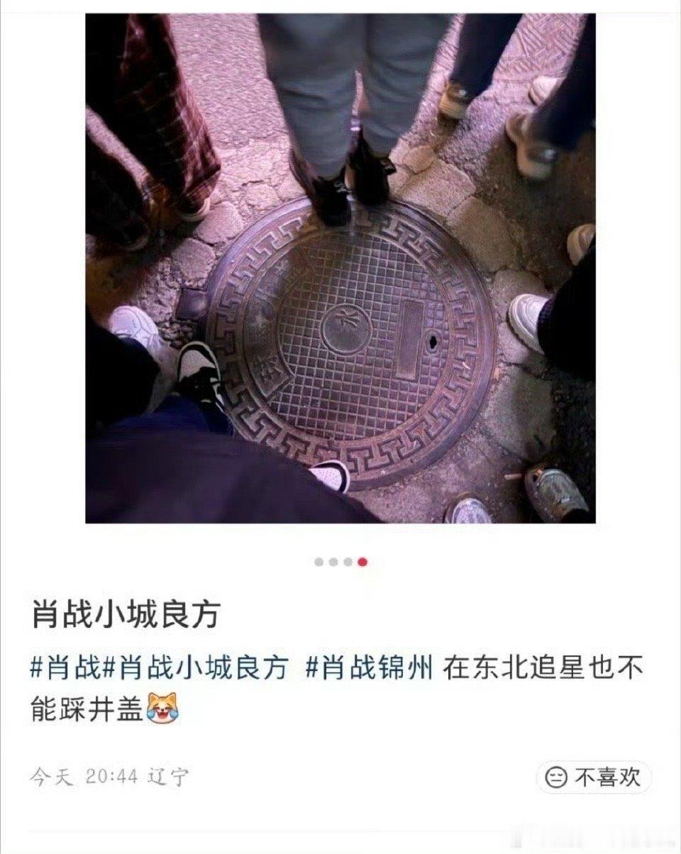 笑不行了，东北追星也不踩井盖，大家注意一下 ​​​