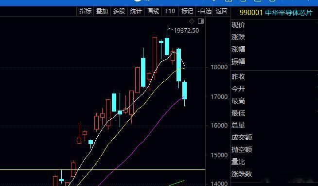 绊倒体连续两根大阴棒子，两日大跌10%，近4天高点算起大跌15%那些上周跟着各路