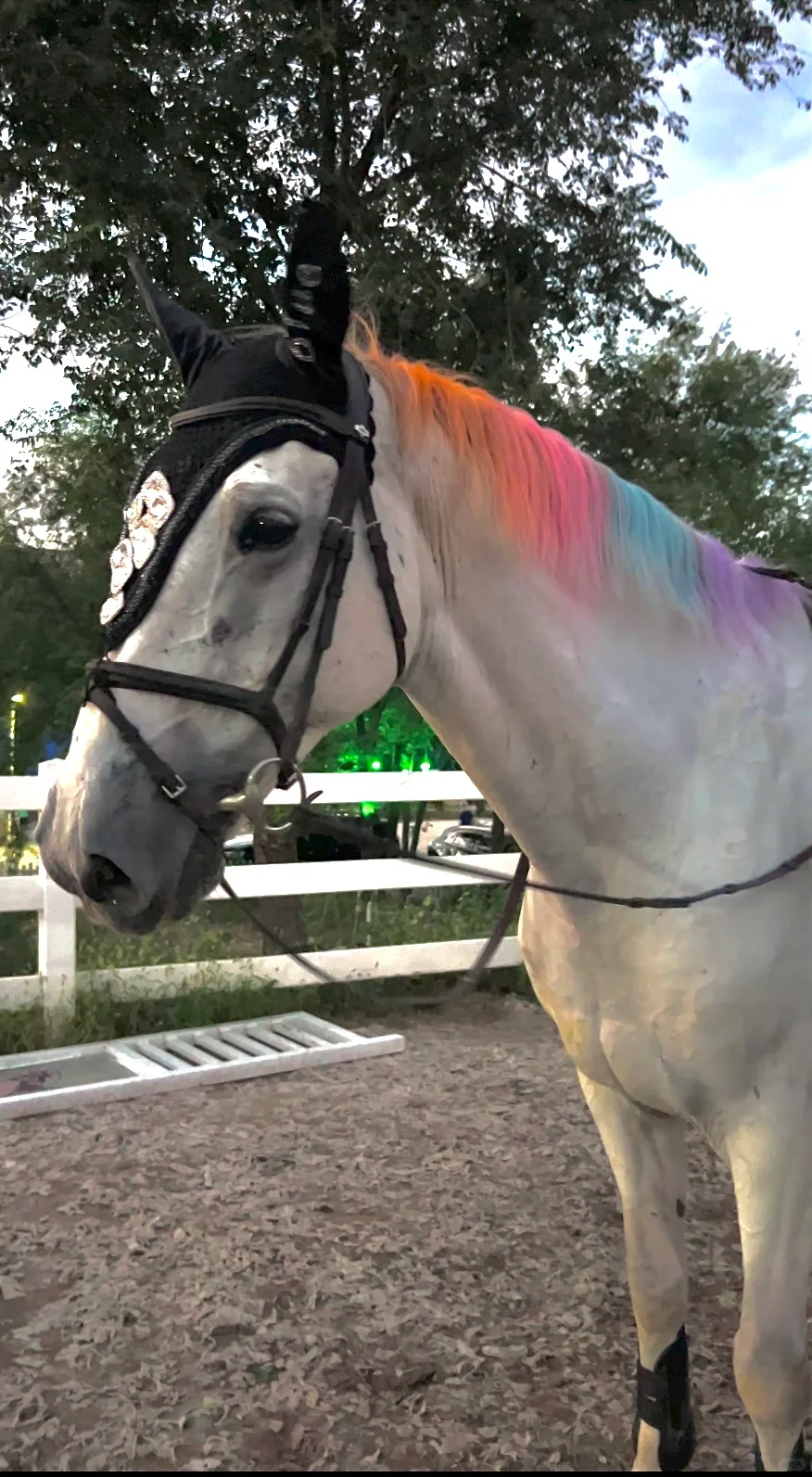 bling bling的耳罩