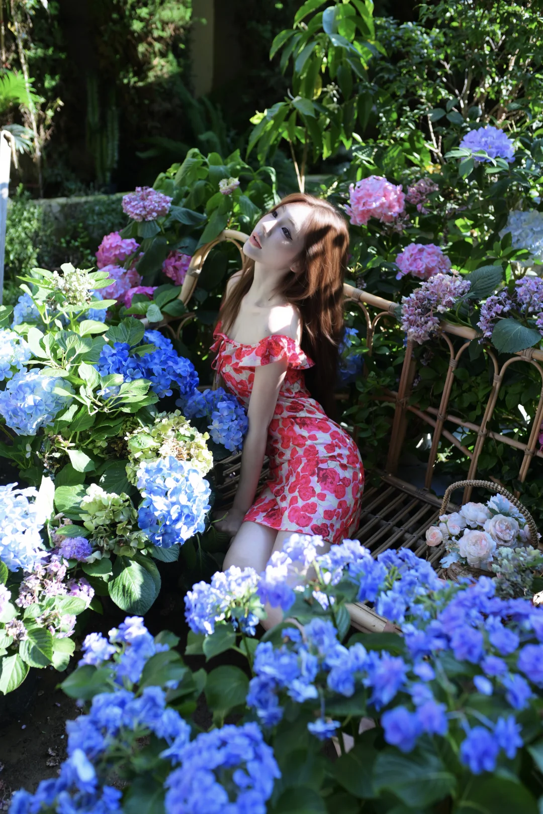 在绣球花海里拍到了人生照片🌸