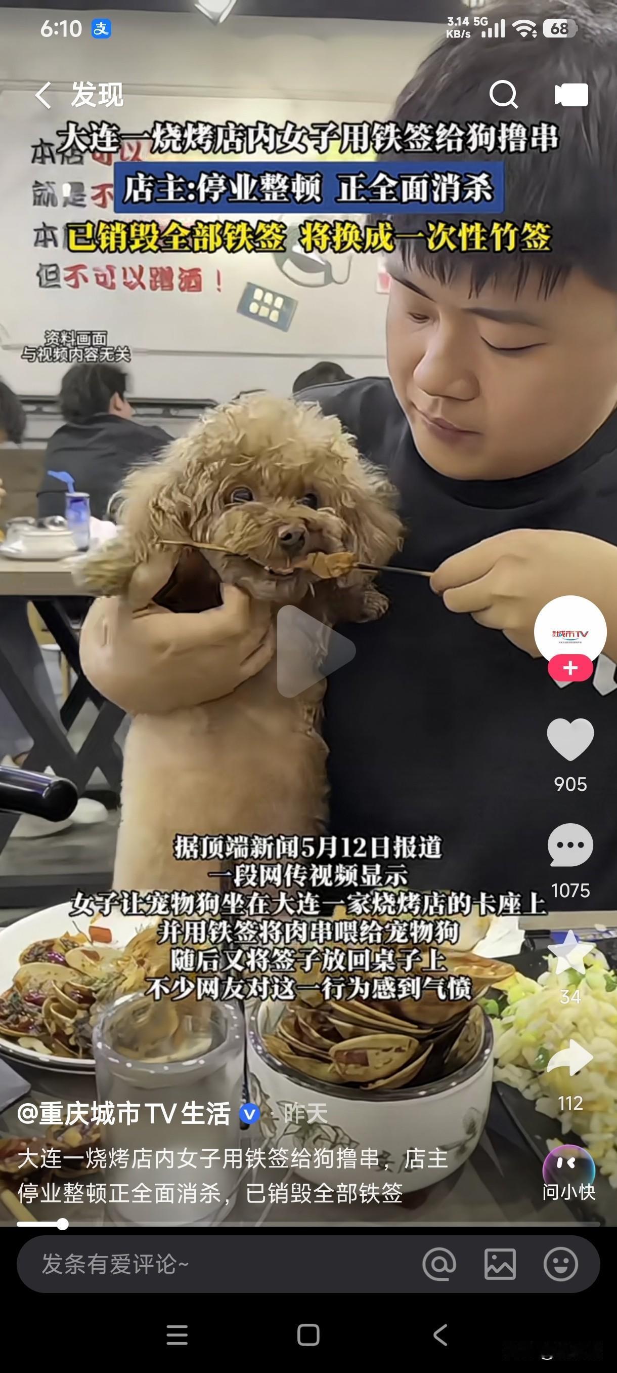大连一烧烤店内女子用铁签给狗撸串，随后又将铁签放回桌子上，不少网友看到这一幕愤怒