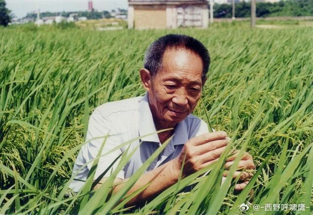 袁隆平院士逝世今天是“中国杂交水稻之父”袁隆平逝世5周年。2021年5月22日1