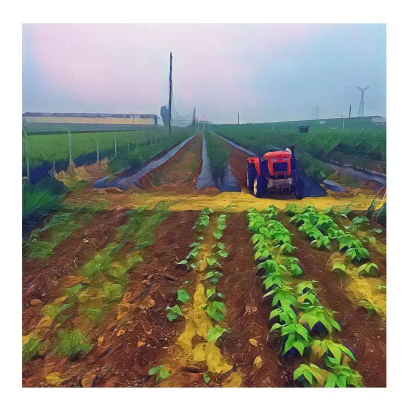 农民现在关心的问题还挺多。收入保障是重中之重，农产品价格不稳定，市场波动大，像疫