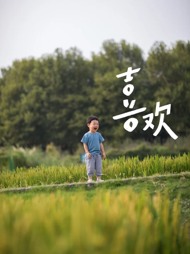 国庆带娃去哪玩？🌾南京稻田打卡游