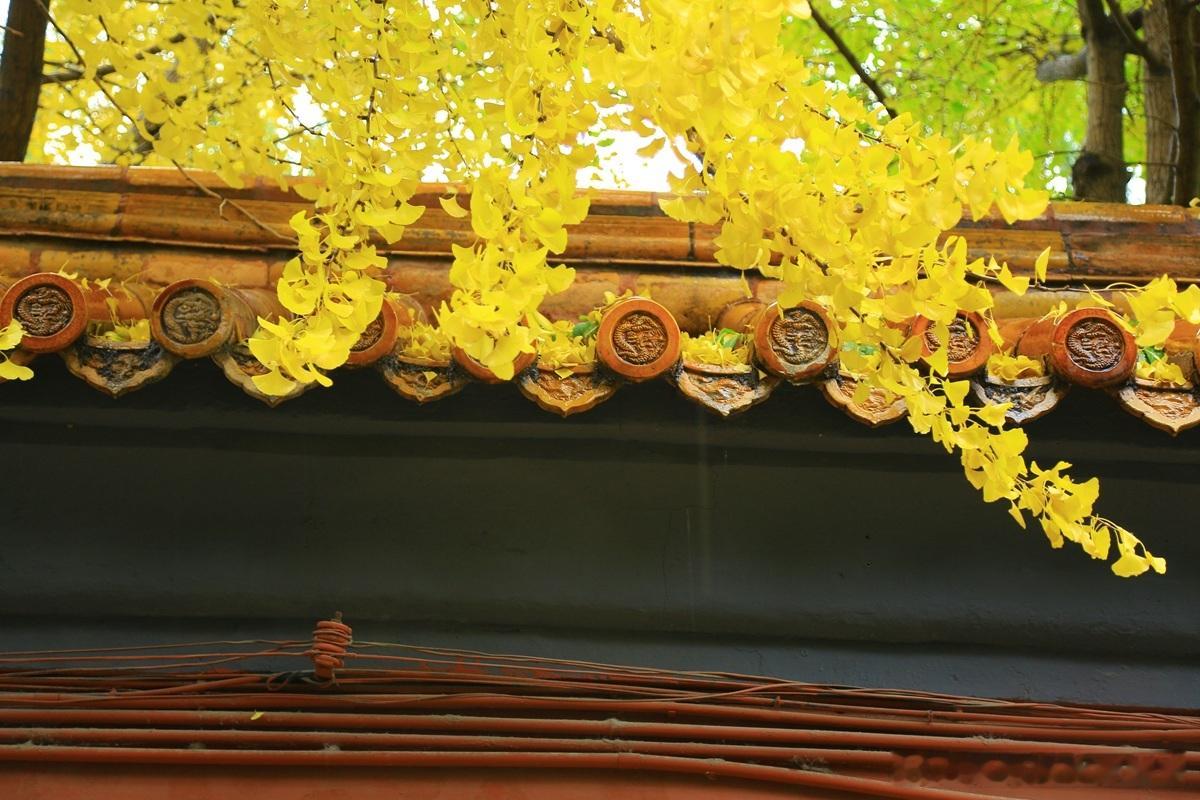 杨老师，我们公司有几个股东，怎样分配利润？可以根据企业自身情况，灵活调整，我举几