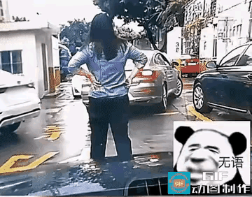 这能怪视频车吗？
