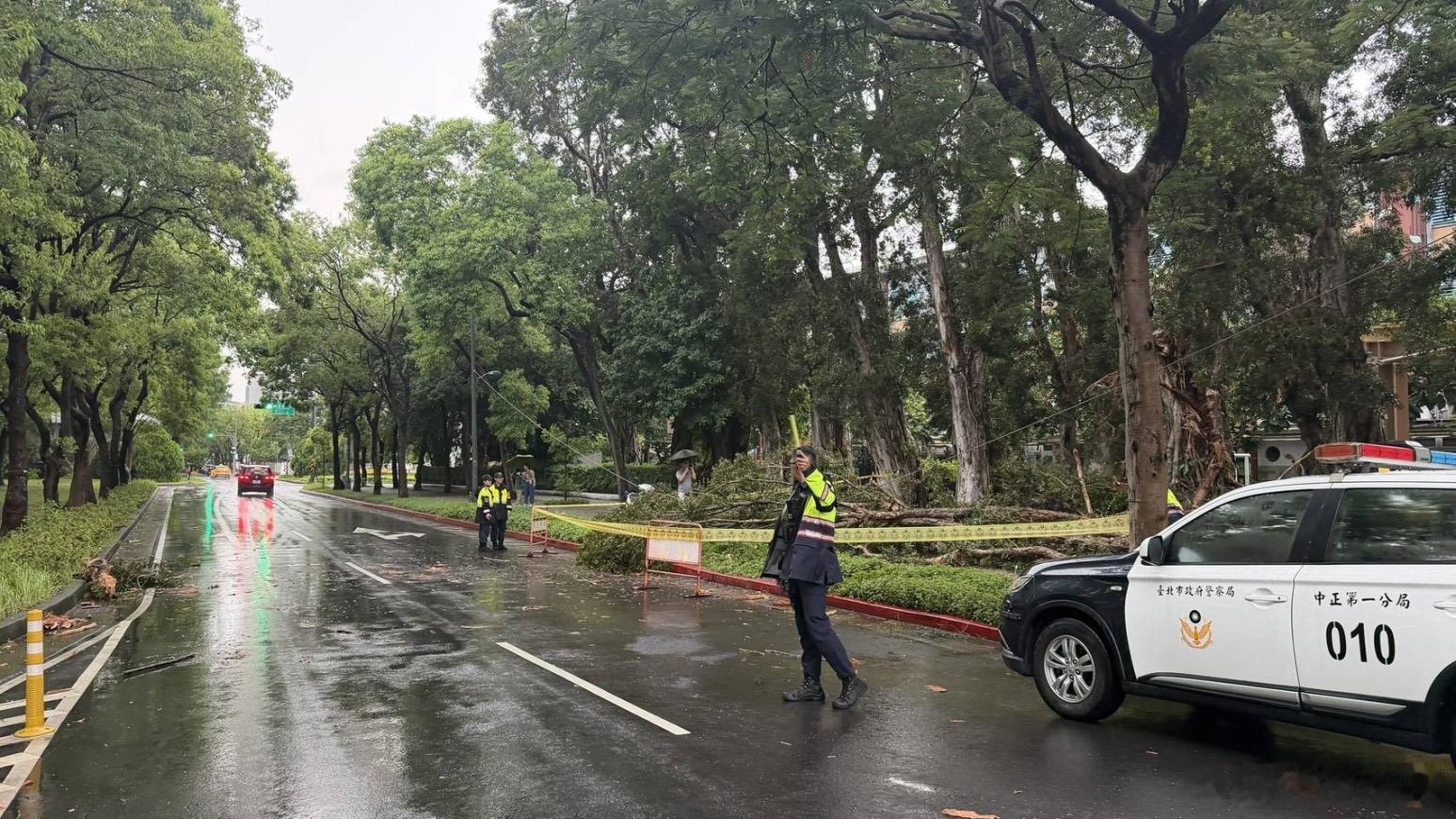 台媒新消息：今（21）日下午4时20分许，台湾省台北一棵大树遭雷劈。巧合的是，美
