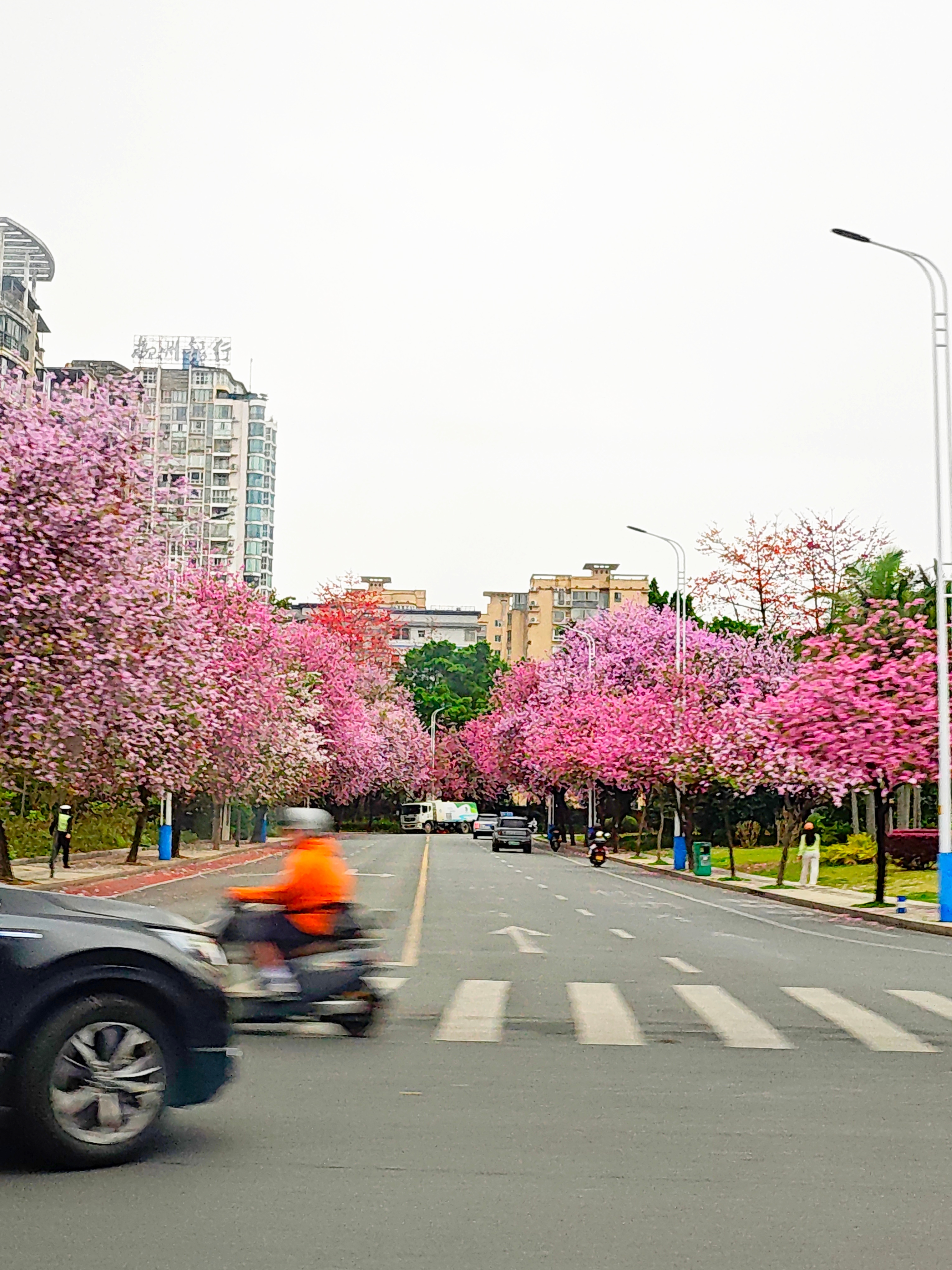 于东来宣布每人退3000元这么良心说实话真的很少见，一堆年轻人的志愿是去胖东来，