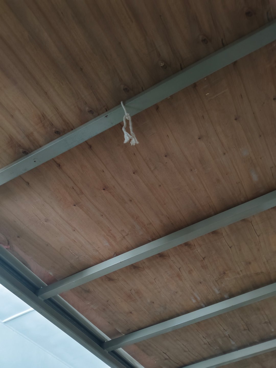 蜜蜜们  你们就说这个诡异不 
