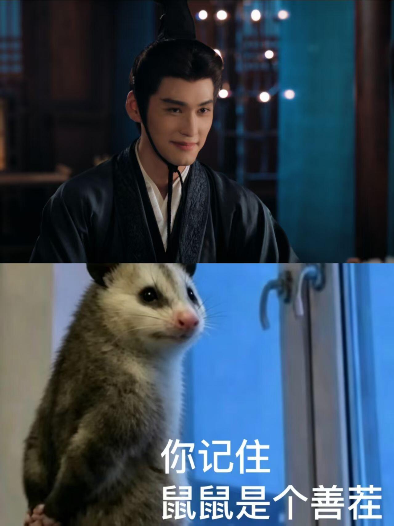 全员精神状态遥遥领先（负鼠版）上班哪有不疯的，但这剧里的角色发疯都好有格调（配上